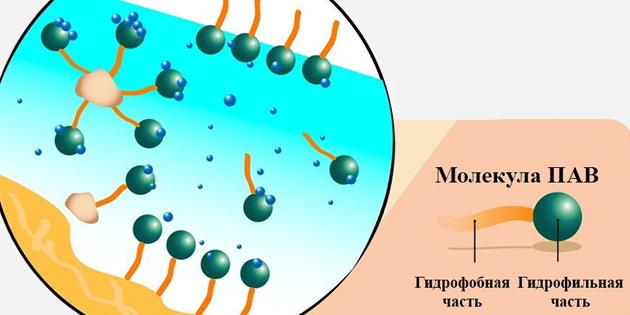 Micelio vanduo: paviršinio aktyvumo medžiaga molekulė
