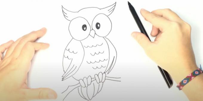 Kaip nupiešti pelėdą: nupieškite nagus, šaką ir uodegą