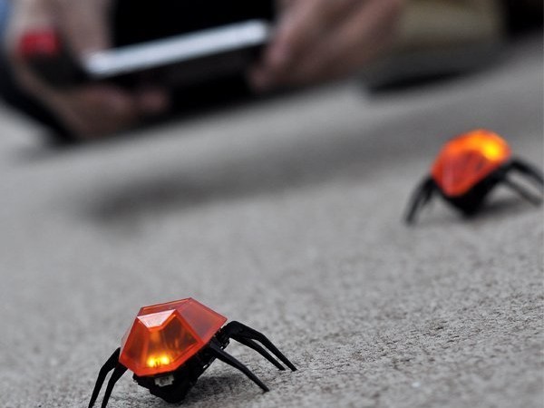 robotas tarakonų