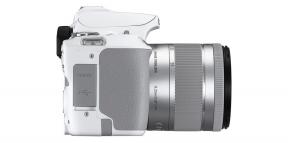 "Canon" pristatė EOS 250D - labai kompaktiškas ir lengvas SLR