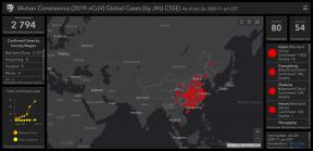 Sukurtas internetinis Kinijos koronaviruso paplitimo visame pasaulyje žemėlapis