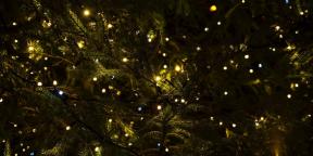 6 kalėdinės tradicijos, kurie ateina pas mus iš pagonybės