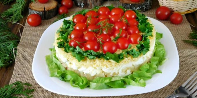 Sluoksniuotos salotos su rūkyta vištiena ir vyšniniais pomidorais