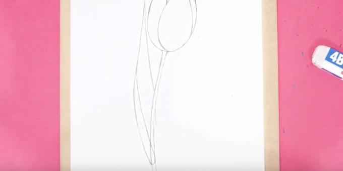 Kaip nupiešti tulpę: nupieškite stiebą ir kairįjį lapą