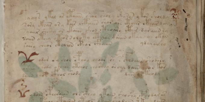 Istorijos paslaptys: Voynicho rankraštis