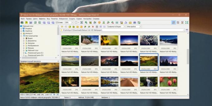 Kaip organizuoti nuotraukų kolekciją: FastStone Image Viewer