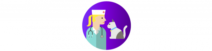 kaip rūpintis kate: vizito pas veterinarą