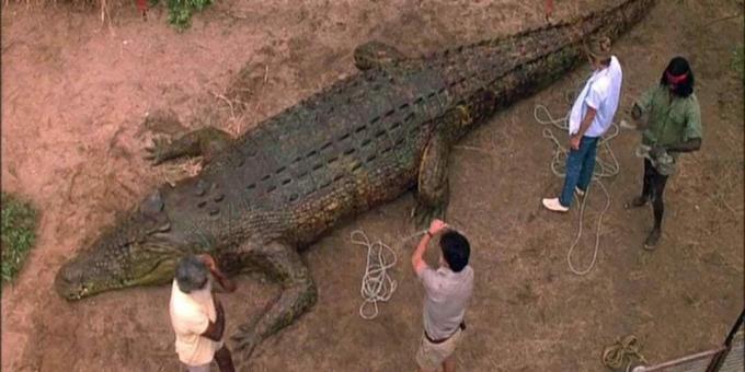 Krokodilų filmai: „Tamsūs laikai“