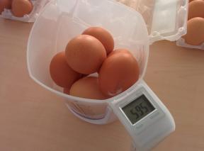 Kas labiau apsimoka pirkti kiaušinius