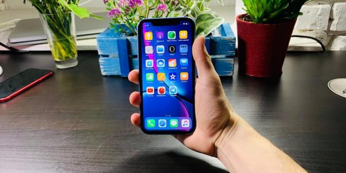 Apžvalga iPhone "XR: Į vertus situacija