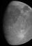 „Juno“ zondas gavo pirmąją Ganymede nuotrauką
