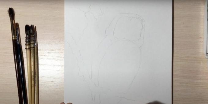 Kaip nupiešti pelėdą: nupiešti pelėdos šaką ir kūną