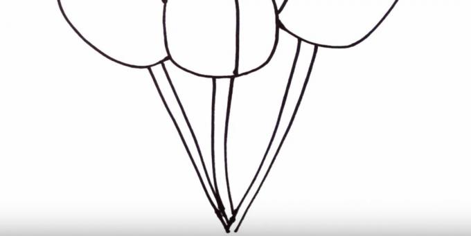 Kaip nupiešti tulpę: nupieškite stiebus