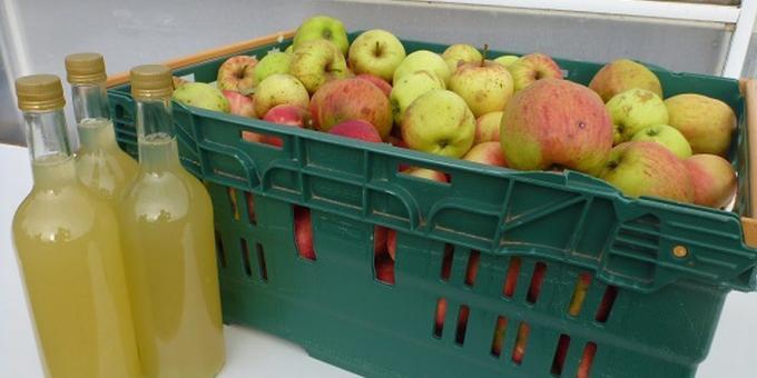 Kaip virėjas obuolių sidro namuose: paprastas receptas