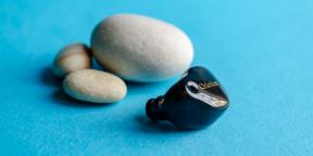 Apžvalga Oriolus finschi - Japonijos ausinių už ekonomiškai sąmoningai audiofilams