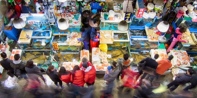 Vietos Pietų Korėja: būtina aplankyti žuvų turgus