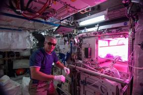 Salotos erdvėje. Astronautai auginti augalus nuo TKS ir kodėl ji yra svarbi