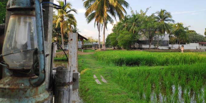 Langkawi orientyrai: Laman Padi ryžių kultūros muziejus