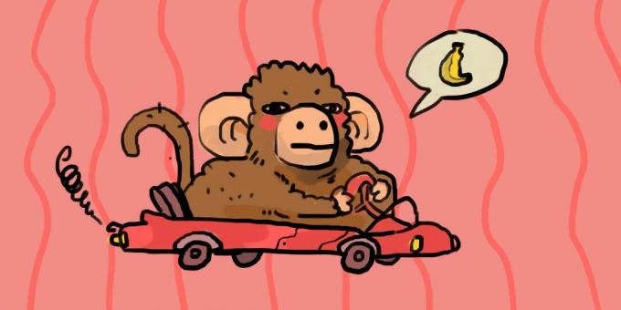 Beždžionė vairuoja