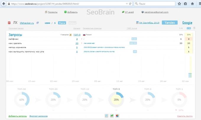 Paslaugų apžvalga SeoBrain, projekto ataskaita
